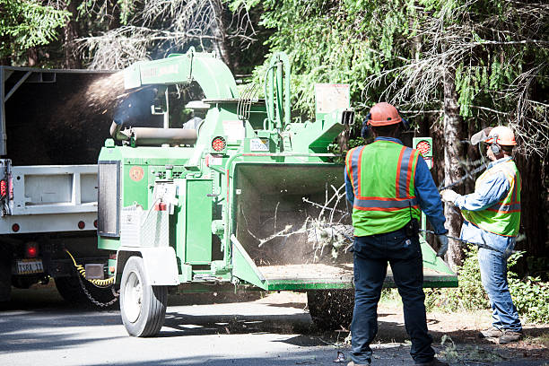 Grass Overseeding in Fort Wayne, IN